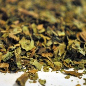 Albahaca Hoja (Ocimum Basilicum)