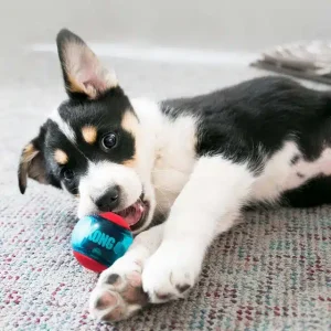 ¡REGALO! JUGUETE SORPRESA